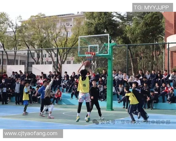 博山中学篮球明星展现青春风采助力校园体育文化蓬勃发展